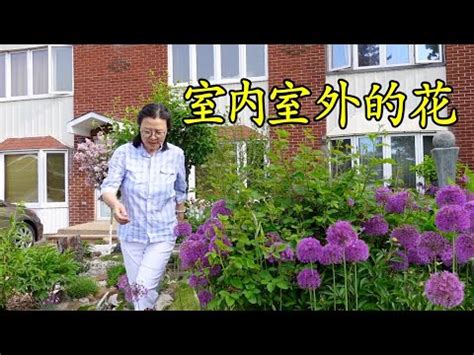 室外的花朵 克洛格數量